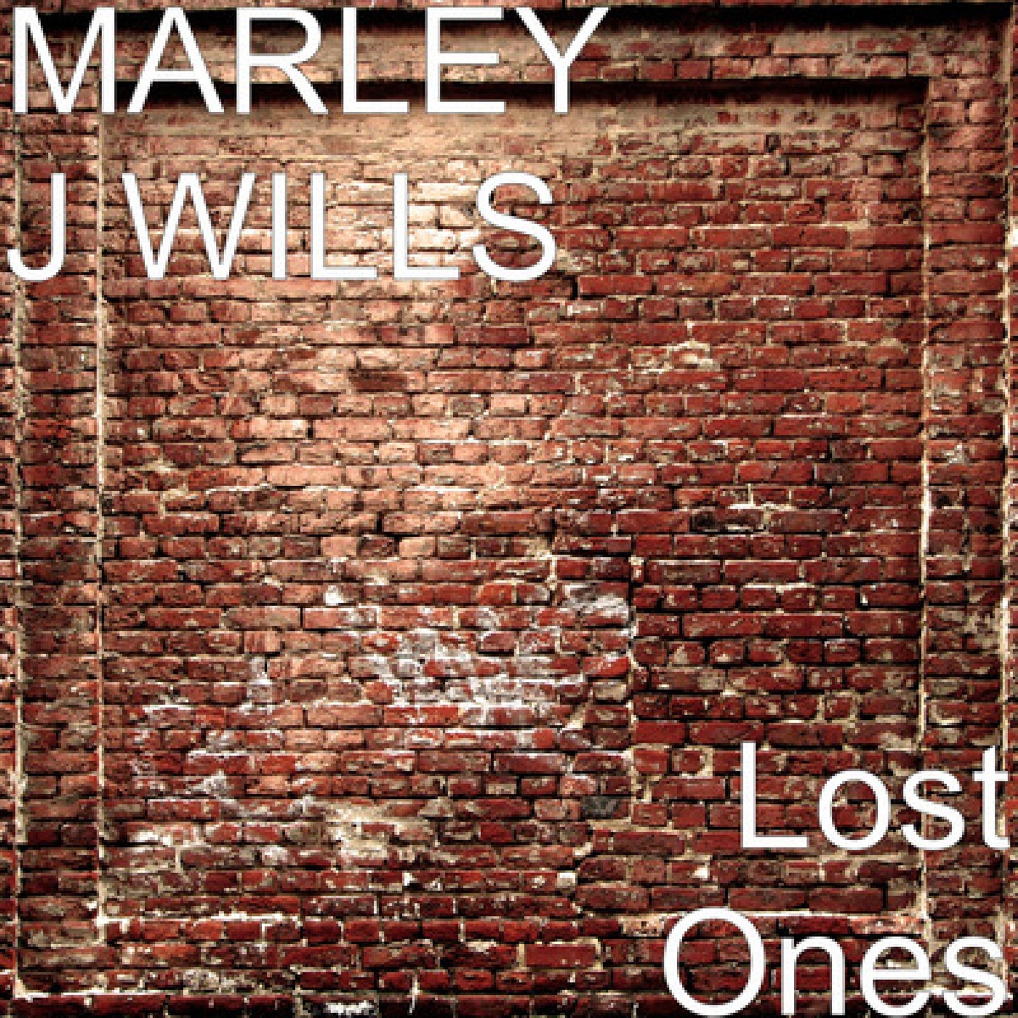 LOST ONE'S by MARLEY J WILLS