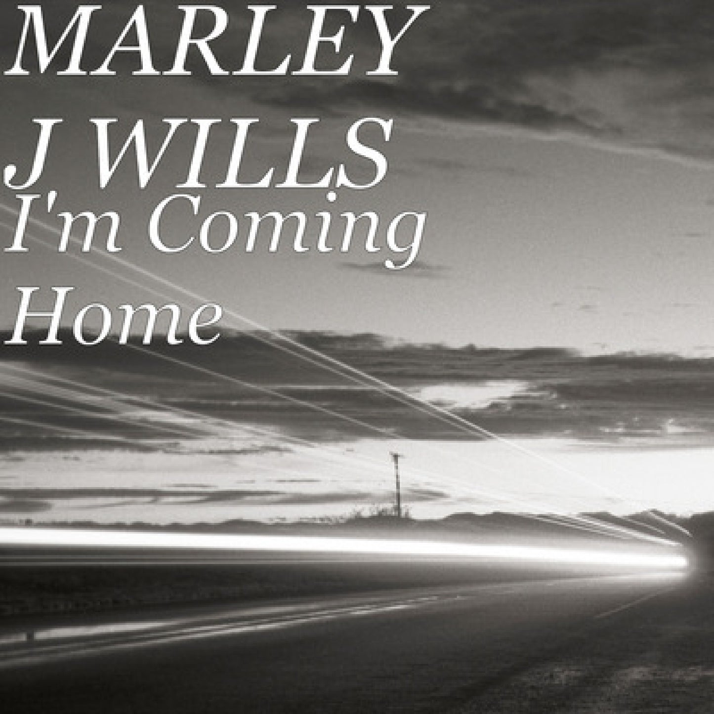 I'M COMING HOME by MARLEY J WILLS