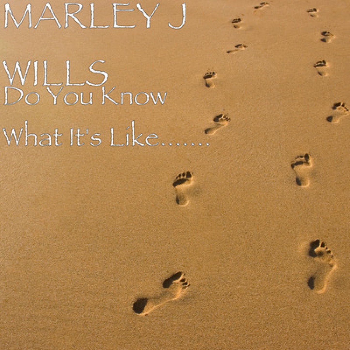 DO YOU KNOW WHAT IT'S LIKE... by  MARLEY J WILLS