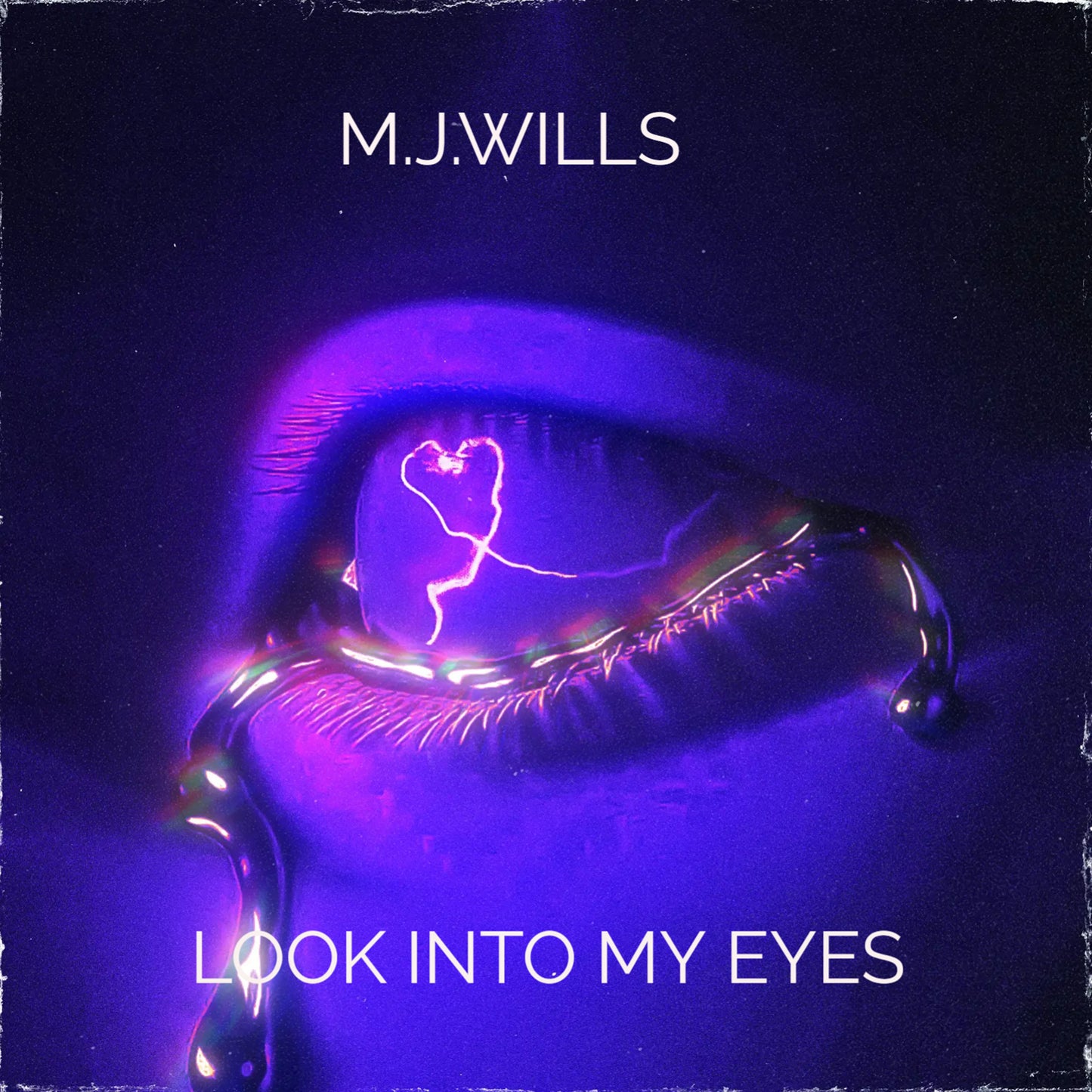 LOOK INTO MY EYES by MARLEY J WILLS