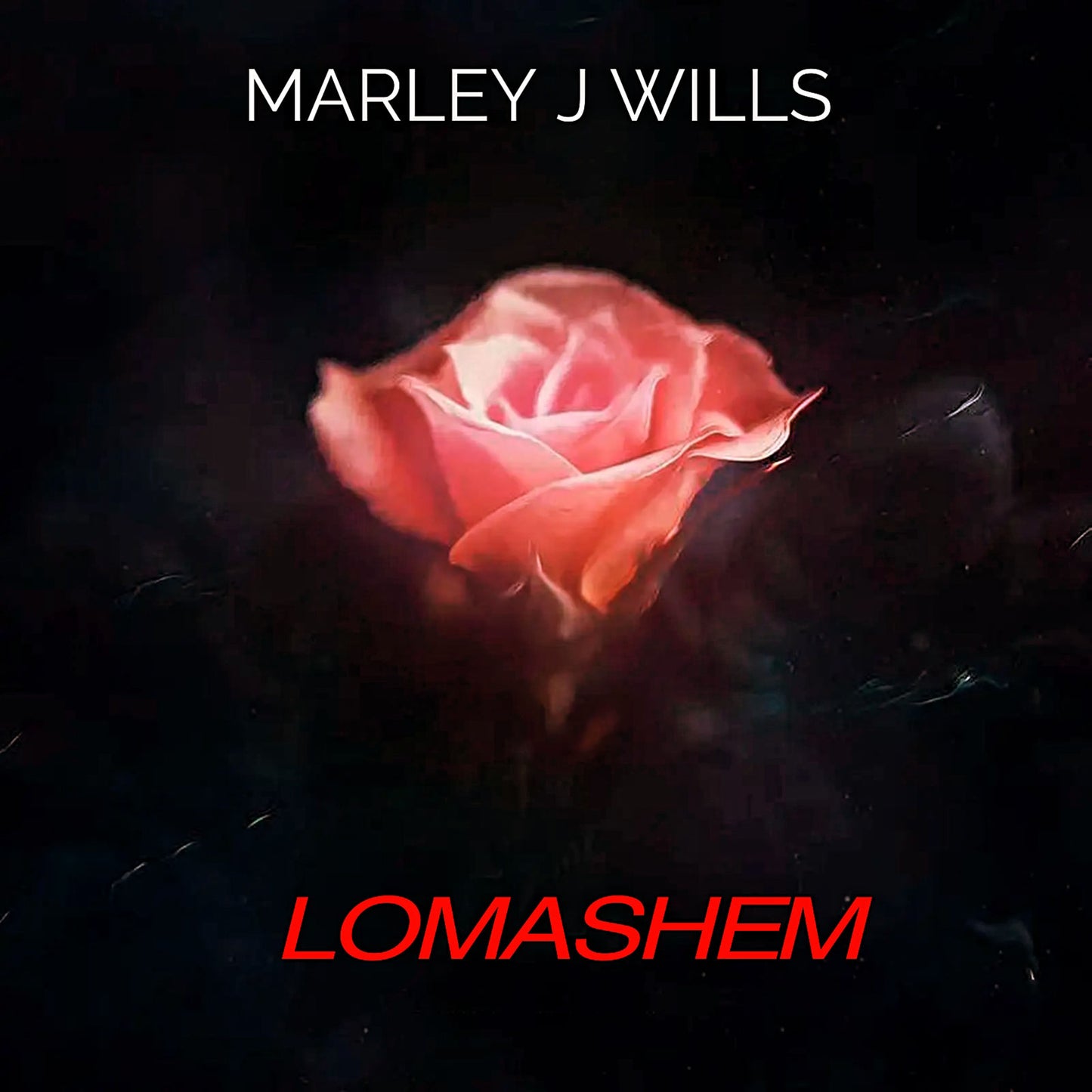 LOMASHEM by MARLEY J WILLS