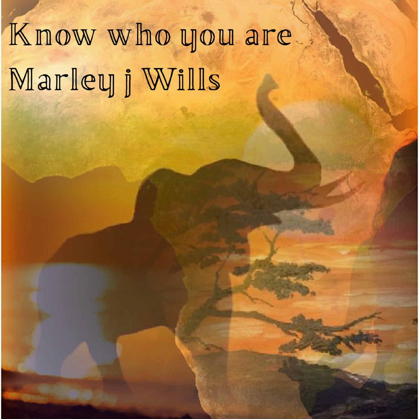 KNOW WHO YOU ARE by MARLEY J WILLS