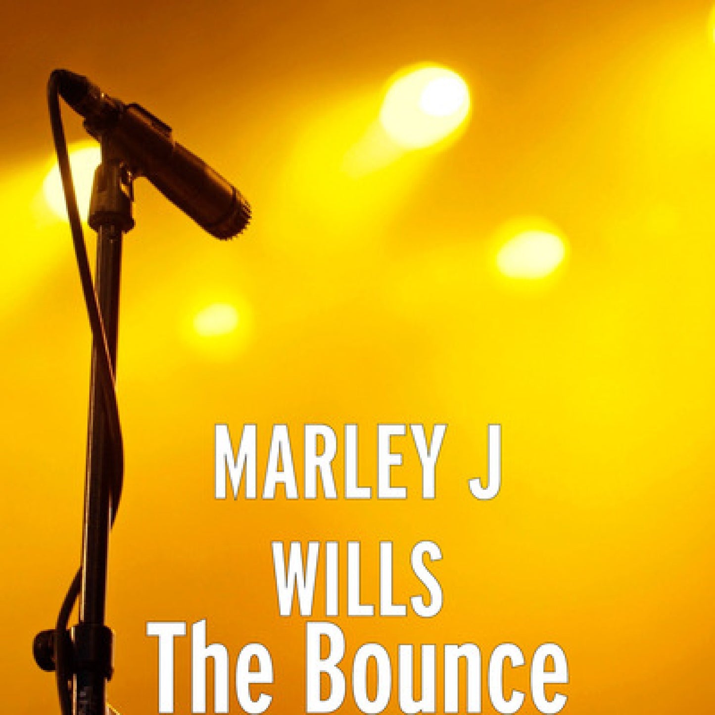 THE BOUNCE by MARLEY J WILLS