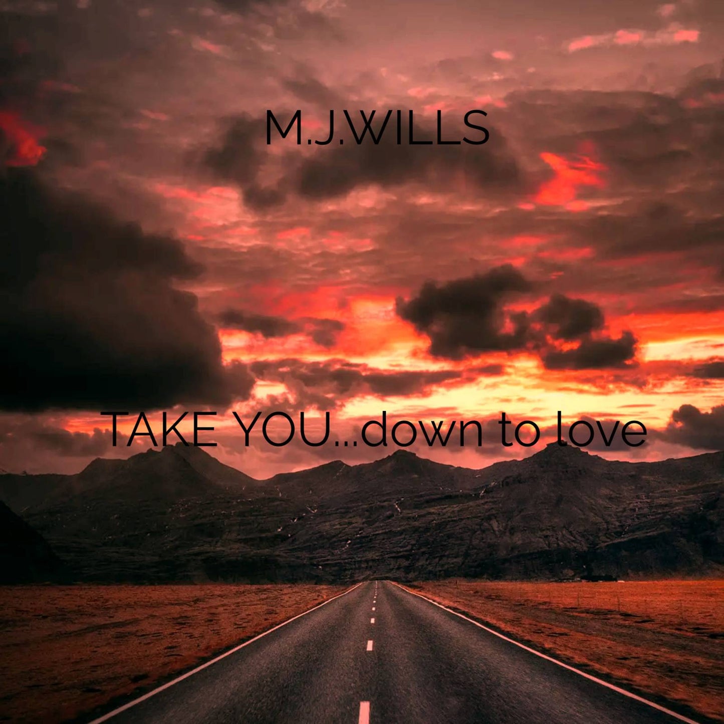 TAKE YOU DOWN TO LOVE by MARLEY J WILLS