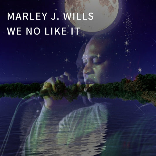 WE NO LIKE IT by MARLEY J WILLS