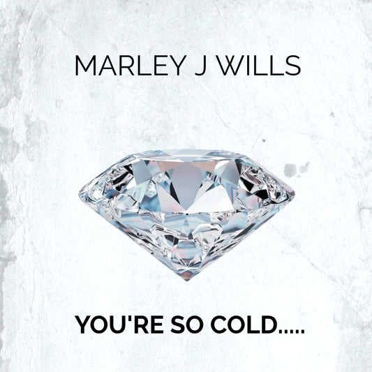YOU'RE SO COLD by Marley J Wills